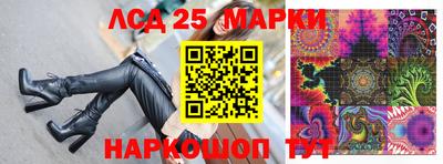 прущие грибы Магадан