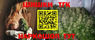 прущие грибы Магадан